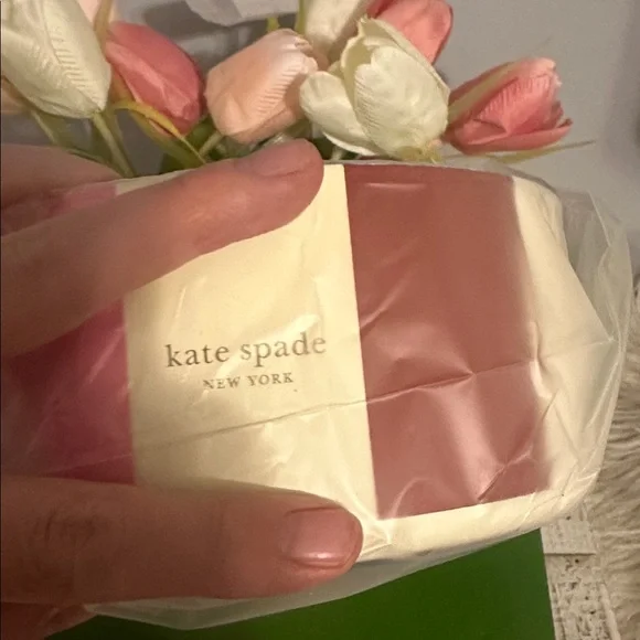 NIB Kate spade adventure stripe pet bowl - Picture 2 of 9